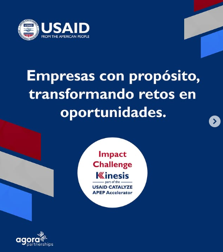 Nowü Hogar: el salto del B2B chileno que transforma el diseño sostenible en una oportunidad de crecimiento real